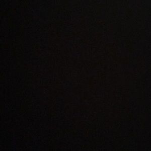 Meet your Posher, Nelly